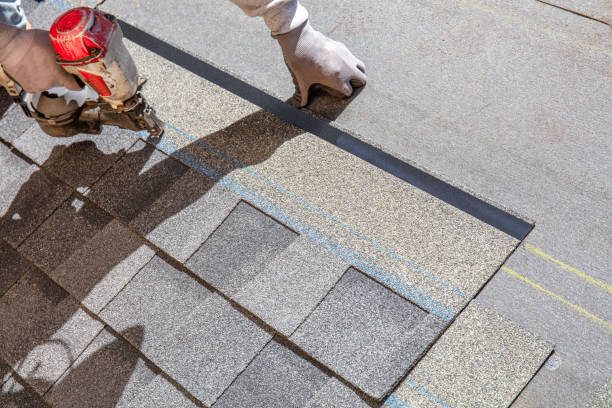 Best Best Roofing Contractors  in Dodson Branch, TN