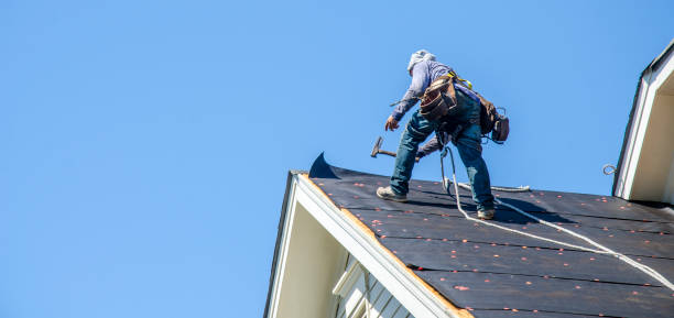 Best Flat Roof Repair Services  in Dodson Branch, TN